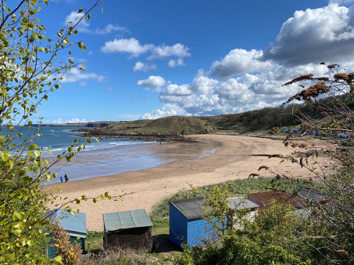 1 The Bay - Stunning Contemporary Flat On The Scottish Coast Apartment Coldingham Ngoại thất bức ảnh
